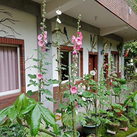 Yi Jia Yuan Homestay Nanzhuang Dış mekan fotoğraf